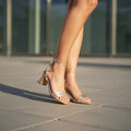 REF 227-T508 CHAMPAGNE