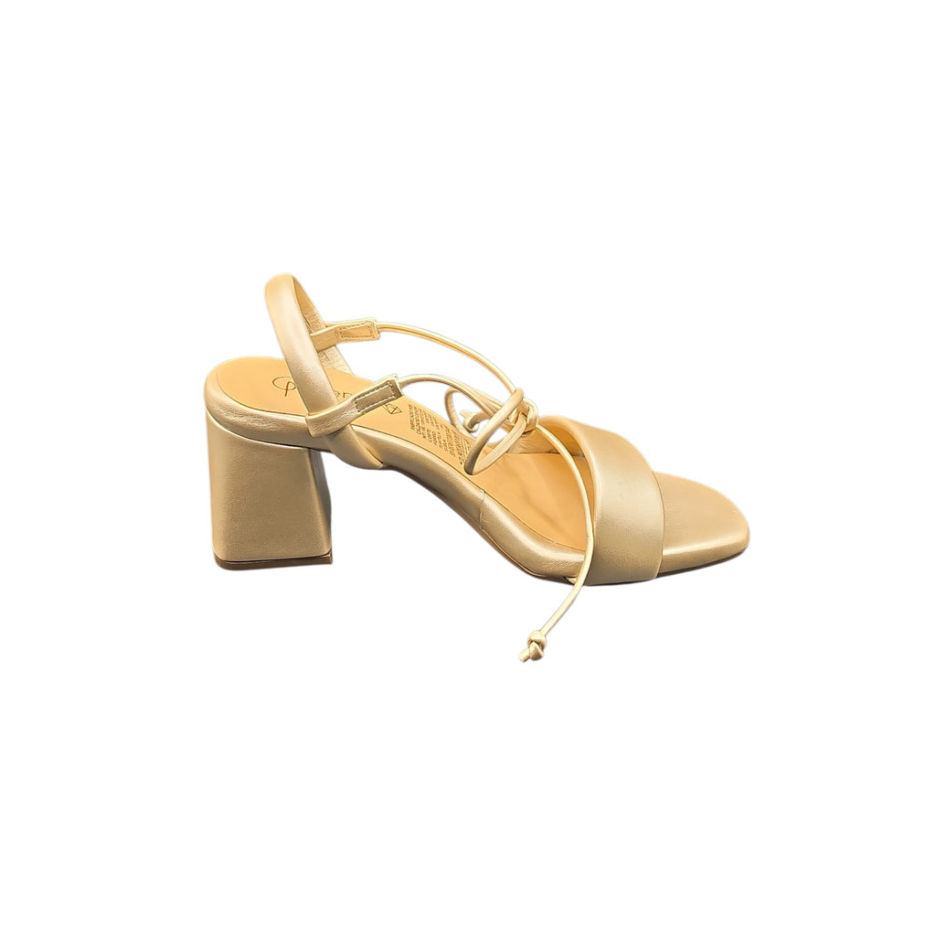 REF 227-T508 CHAMPAGNE